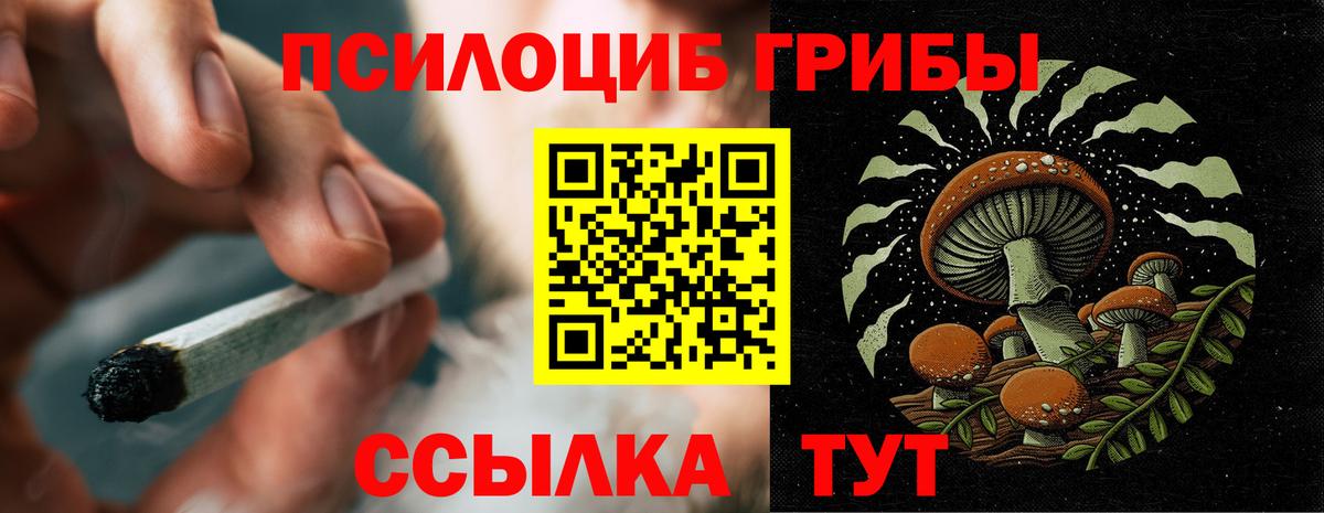 Псилоцибиновые грибы прущие грибы  Вход с VPN  Ковров 
